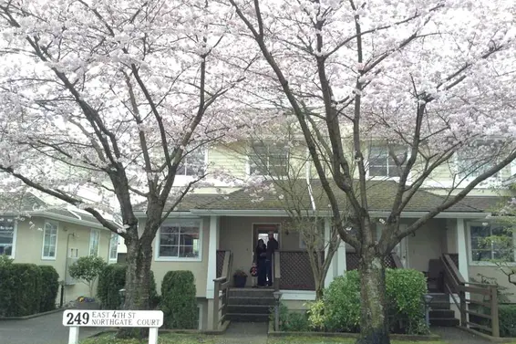 Bad MLS® Photo of the week: Admiring the Cherry Blossoms 
