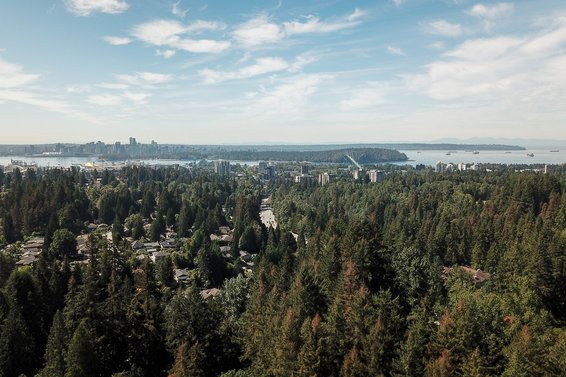 Our August 2021 market review is now available!