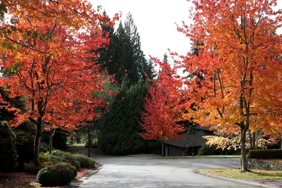 Fall in Upper Lonsdale