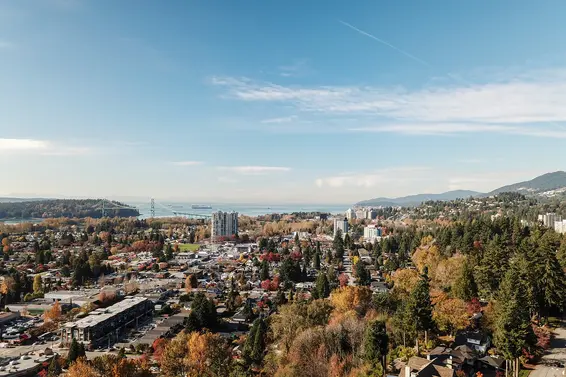 Our October 2019 market review is now available!