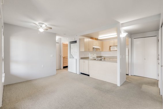 Just Listed // 704-121 W 15th Street