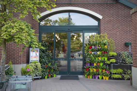 Visit Whole Foods Market Now Thru Oct 13th to Support Harvest Project