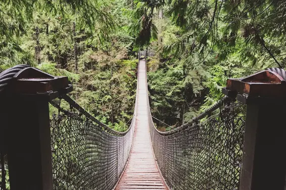 @northvanliving | lynn canyon