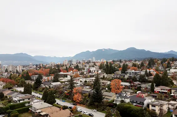 Our November 2019 market review is now available!