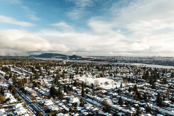 Our January 2020 market review is now available!