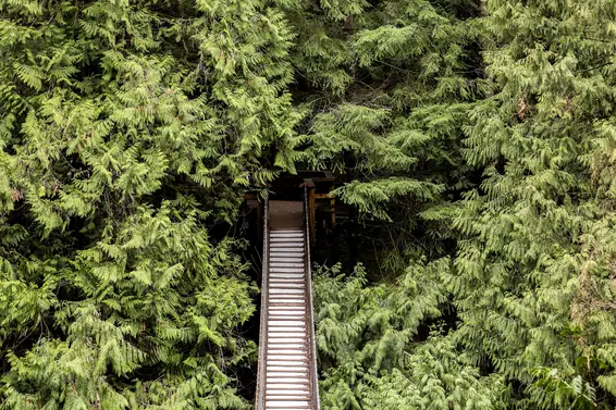 Lynn Canyon Suspension Bridge