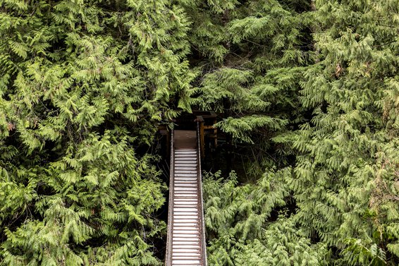 Lynn Canyon Suspension Bridge