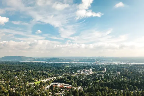 Our Q3 2019 market review is now available!