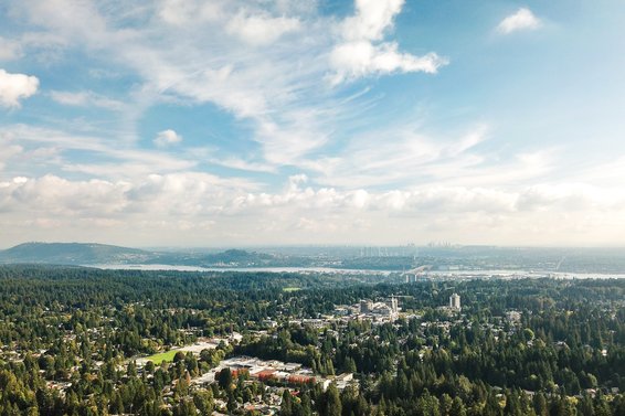 Our Q3 2019 market review is now available!