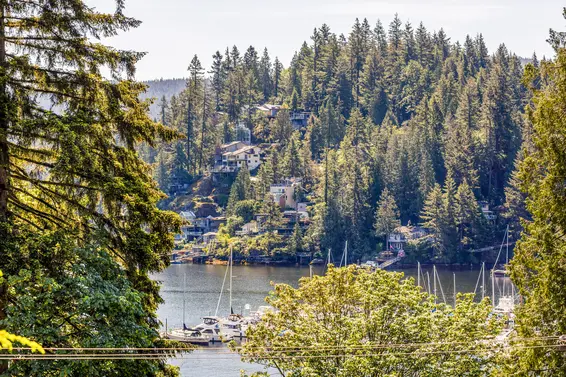 2501 Panorama Drive, North Vancouver For Sale - image 41