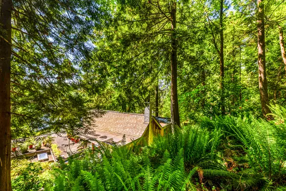 2501 Panorama Drive, North Vancouver For Sale - image 38