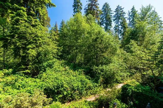 220 3606 Aldercrest Drive, North Vancouver For Sale - image 23