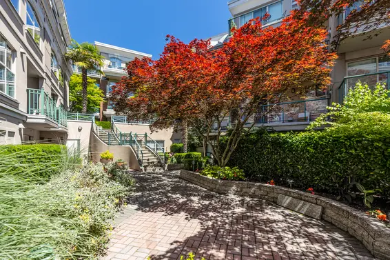 332 Lonsdale Avenue - The Calypso  