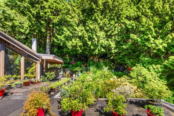2501 Panorama Drive, North Vancouver For Sale - image 33