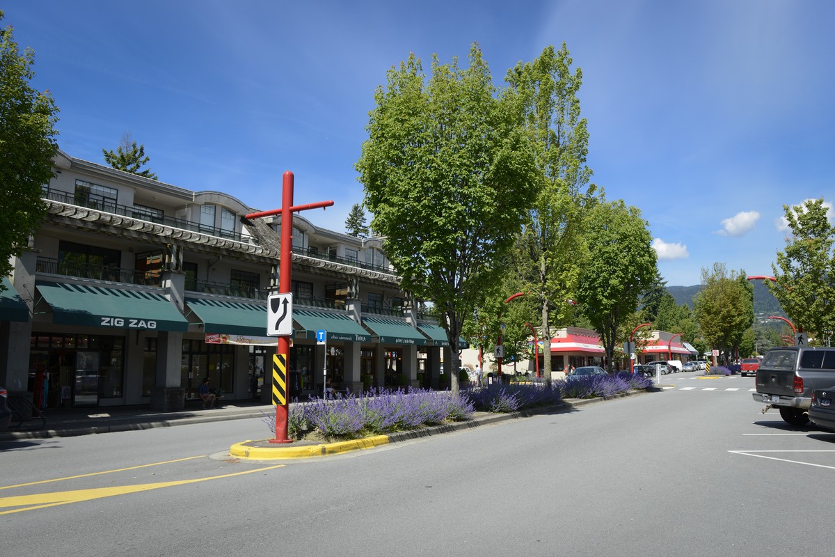 information about edgemont village north vancouver - area details and real estate 