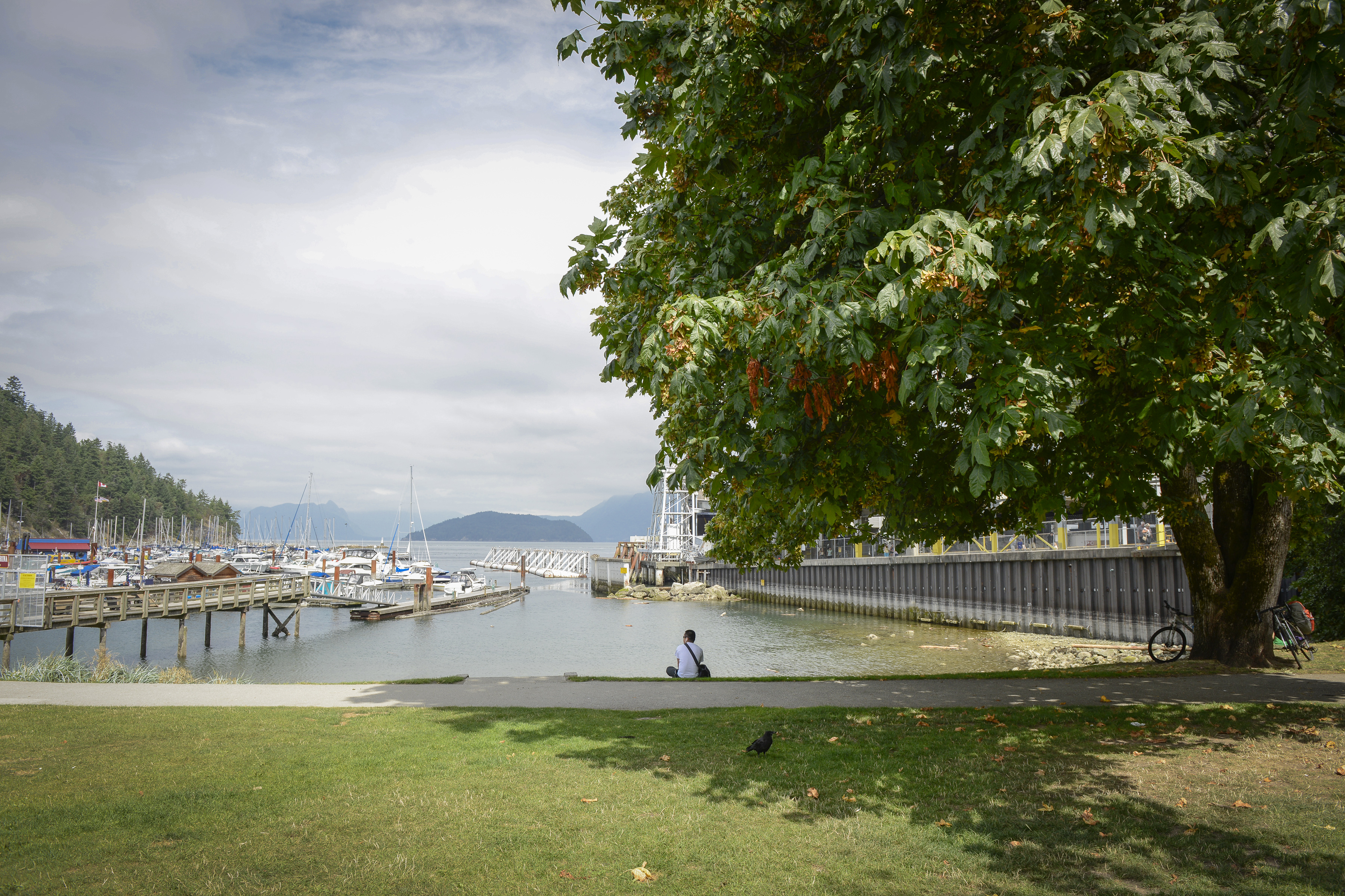 Horseshoe Bay, West Vancouver, area and real estate spotlight - image 2