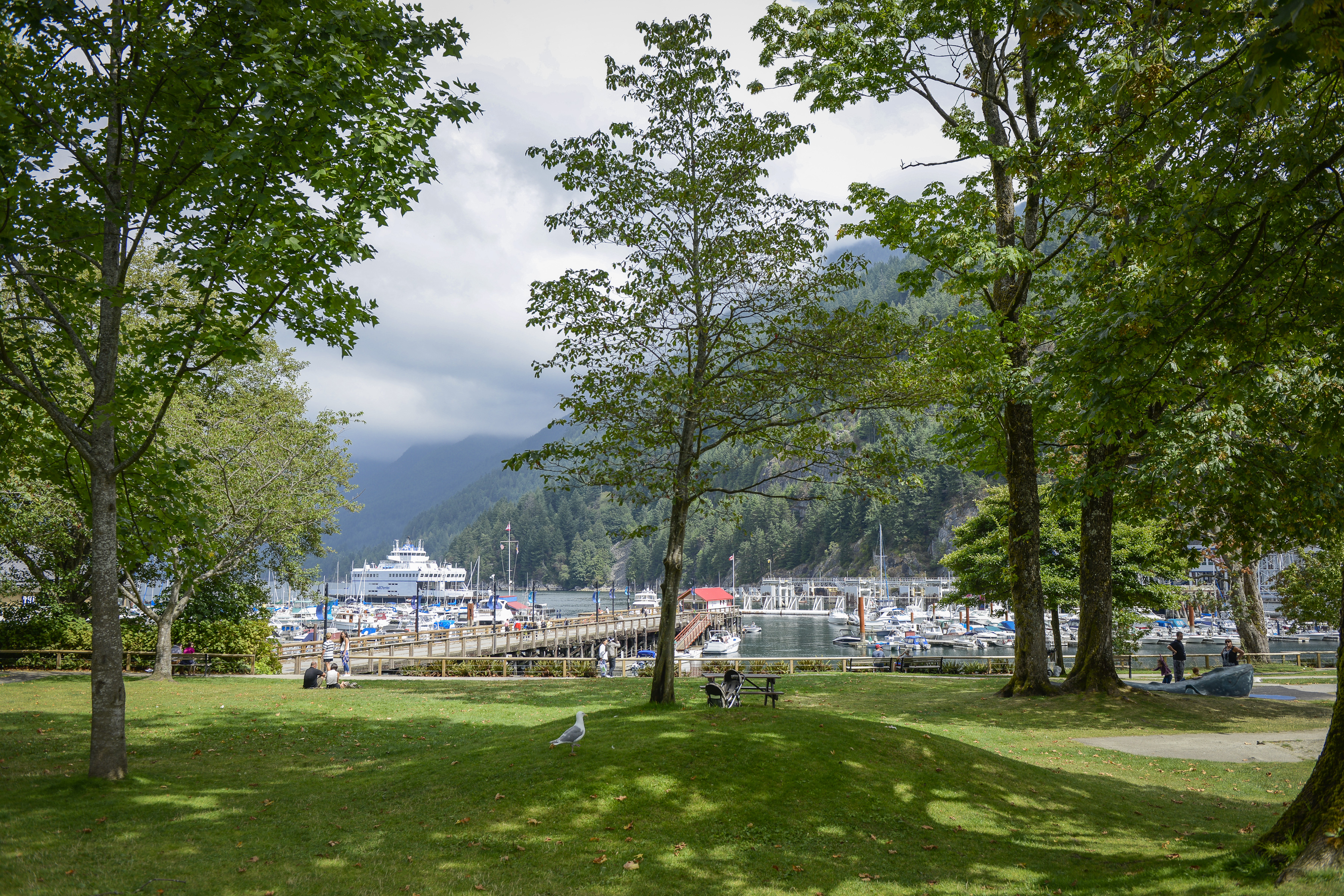 Horseshoe Bay, West Vancouver, area and real estate spotlight - image 3